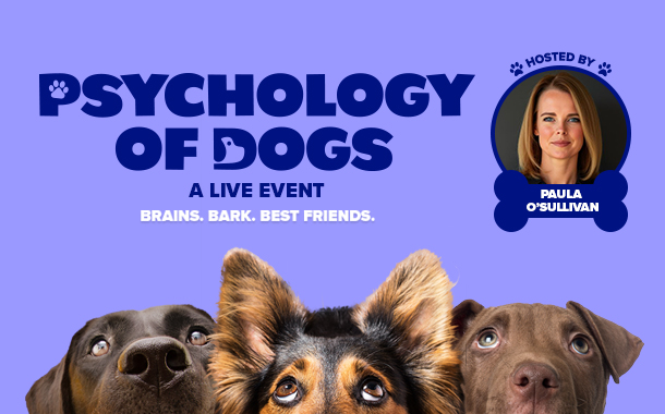 The Psychology of Dogs